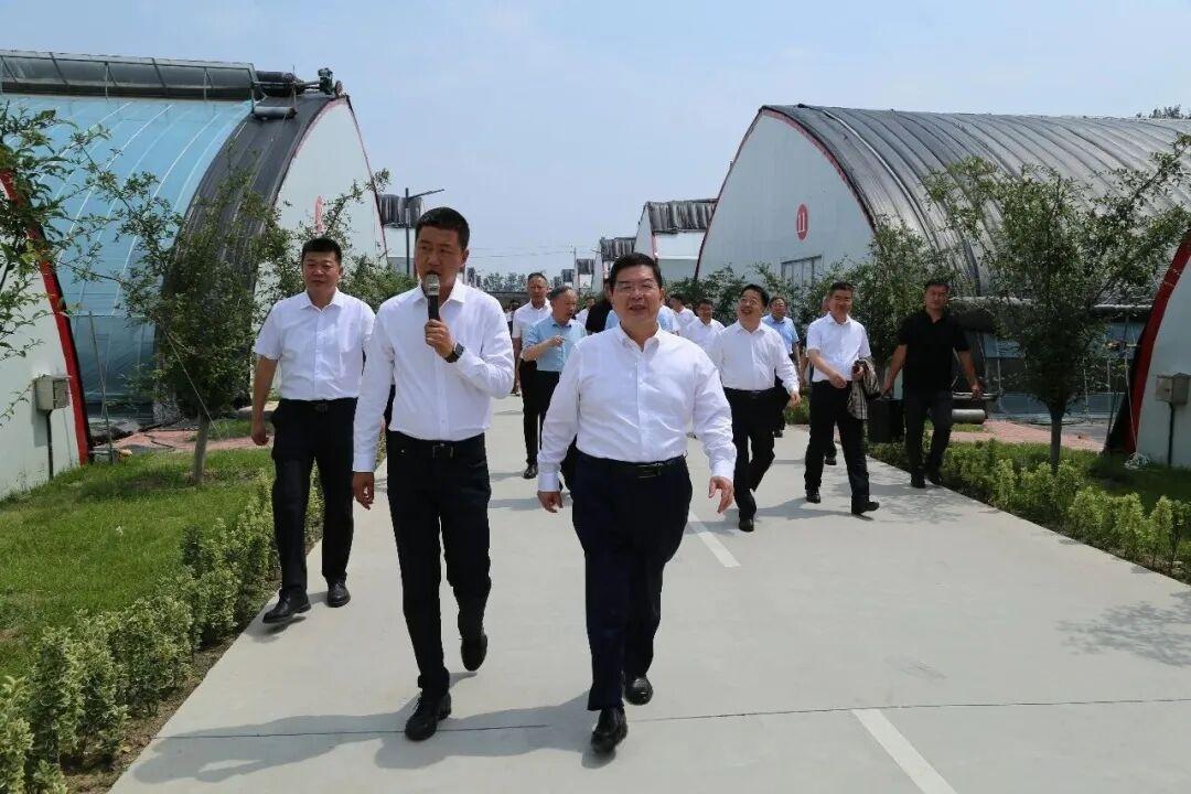 省领导莅临寿光现代设施园艺产业技术研究院调研