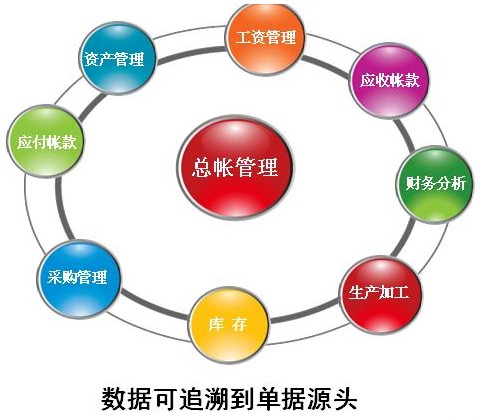三元生物工程财务管理实现信息化